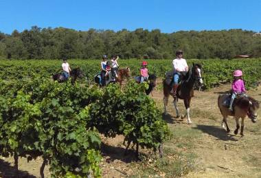 Ballade à cheval dans les monts du Vaucluse